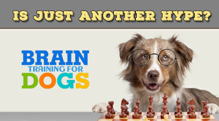 Brain Training For Dogs Review